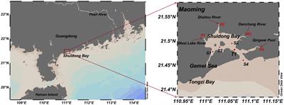 Tidal variation modulates the dissolved silicate behavior and exchange flux across the semi-enclosed bay‐coastal water continuum, China